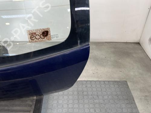 Tailgate DACIA SANDERO 1.4 (BS0C, BS0A, BS0G, BS1F, BS0E) | BP29039371C6 