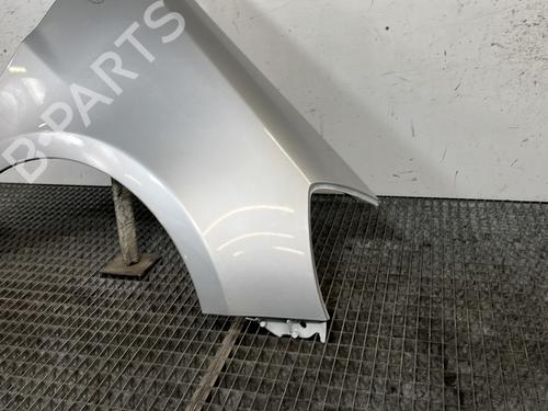 Right front fenders RENAULT CLIO III (BR0/1, CR0/1) 1.5 dCi | BP30176879C42