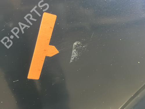 Left rear door NISSAN PATHFINDER III (R51) 2.5 dCi 4WD | BP30777977C4