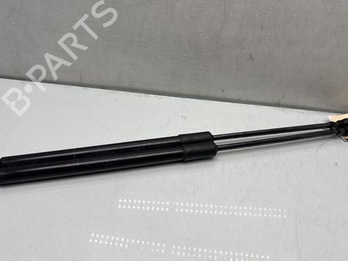 Used Tailgate lift support RENAULT CLIO V (B7_) 1.6 E-TECH 140 (B7MU) (140 hp) 29841524