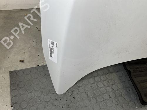 Hood RENAULT MEGANE III Coupe (DZ0/1_) 1.6 dCi (DZ00, DZ12, DZ2A, DZ13) | BP30720017C1