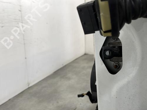 Used Left rear door Left rear door 29748996 29748996