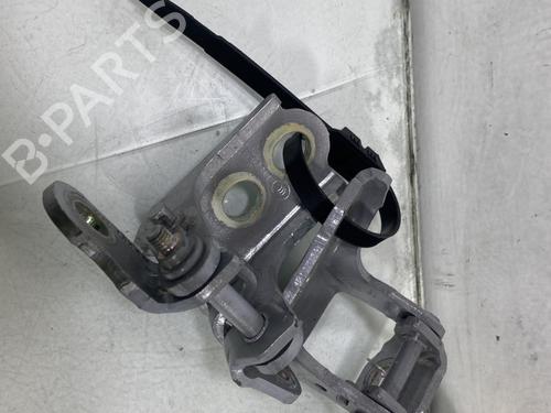 Hinge/Door check strap RENAULT CLIO V (B7_) 1.5 Blue dCi 100 (B7AD) | BP31213131C146