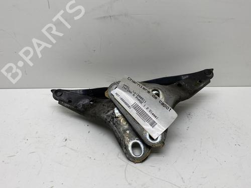 Used Hinge/Door check strap OPEL ZAFIRA A MPV (T98) 2.0 DTI 16V (F75) (101 hp) 20008671