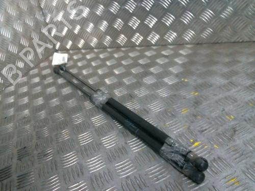Used Tailgate lift support RENAULT MEGANE III Coupe (DZ0/1_) 1.5 dCi (DZ0B) (106 hp) 19980066