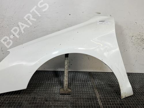 Used Left front fenders CITROËN C5 III (RD_) 1.6 HDi 110 (RD9HL0, RD9HR8, RD9HRA) (112 hp) 31641172