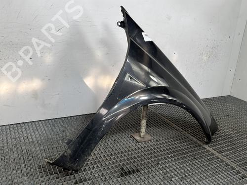 Right front fenders RENAULT MEGANE II Coupé-Cabriolet (EM0/1_) 1.5 dCi (EM1E) | BP28187209C42 