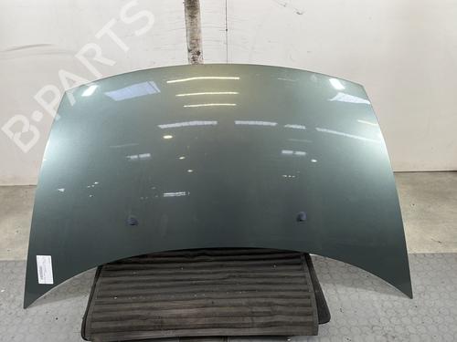 hood-citroen-c3-i-fc_-fn_-2002-2003-2004-2005-2006-2007-2008-2009-2010-2011-2012-2013-31881148 main image