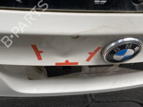 Tailgate BMW X5 (E70)  | BP21961709C6 