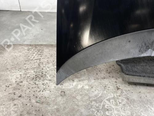 Hood FIAT GRANDE PUNTO (199_) 1.4 16V (199BXG1B, 199AXG1B) | BP20182802C1