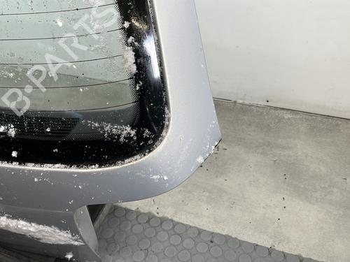 Used Tailgate Tailgate 31379953 31379953