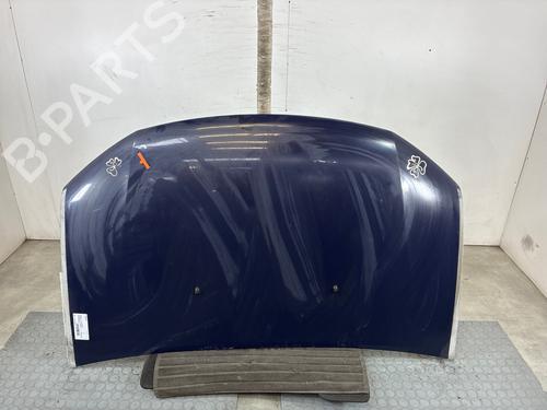 hood-dacia-sandero-ii-2012-36008339 main image