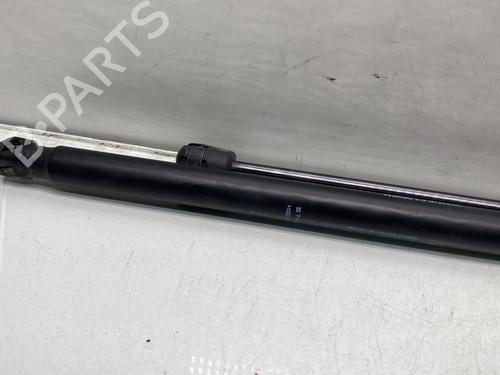 Tailgate lift support CITROËN C4 Picasso I MPV (UD_) 1.6 HDi | BP22178268C138 