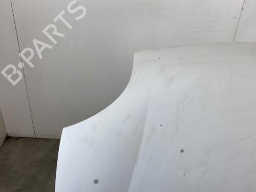 Used Hood RENAULT KANGOO Express (FC0/1_) D 65 1.9 (FC0E, FC02, FC0J, FC0N) (64 hp) 19958869