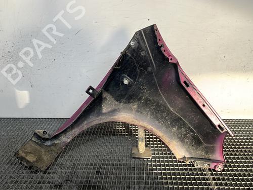 Left front fenders RENAULT TWINGO II (CN0_) 1.5 dCi 75 | BP29940183C41 