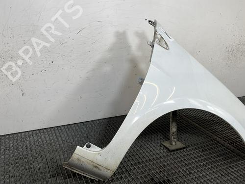 Right front fenders RENAULT CLIO III (BR0/1, CR0/1) 1.5 dCi (C/BR0G, C/BR1G) | BP29456210C42 