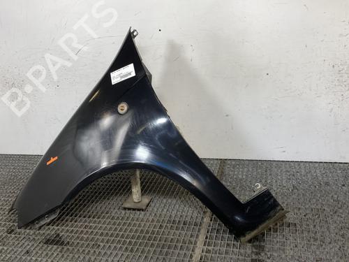 Left front fenders FIAT PUNTO (188_) 1.3 JTD 16V | BP25715663C41 