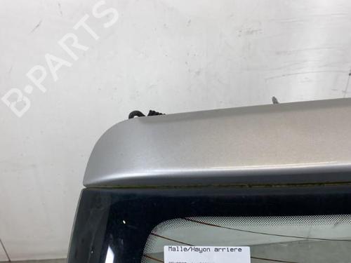 Used Tailgate PEUGEOT 206 Hatchback (2A/C) 1.4 HDi eco 70 (68 hp) 30702477