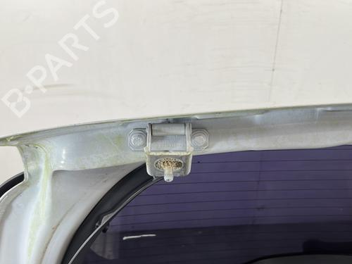 Tailgate RENAULT CLIO III (BR0/1, CR0/1) 1.5 dCi (C/BR0G, C/BR1G) | BP29995775C6 