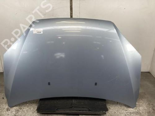 Used Hood FORD FOCUS II Turnier (DA_, FFS, DS) 1.6 TDCi (100 hp) 21961544