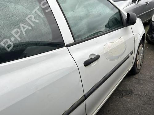 Right front door RENAULT CLIO III (BR0/1, CR0/1) 1.5 dCi (C/BR0G, C/BR1G) | BP21960549C3 