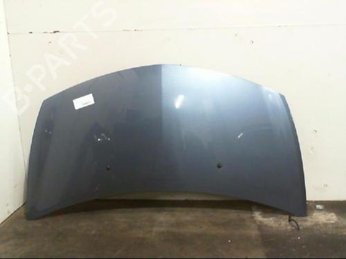 Used Hood Hood RENAULT CLIO III (BR0/1, CR0/1) 1.5 dCi (C/BR0G, C/BR1G) (68 hp) 34173756 34173756