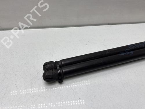 Used Tailgate lift support Tailgate lift support FORD PUMA (J2K, CF7) 1.0 EcoBoost mHEV (125 hp) 34333016 34333016