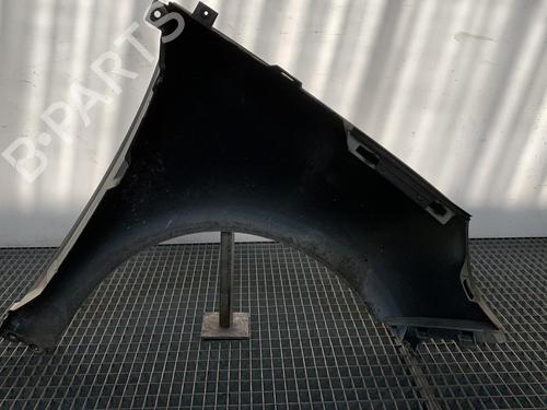 Left front fenders RENAULT SCÉNIC III (JZ0/1_) 1.5 dCi | BP21958681C41 
