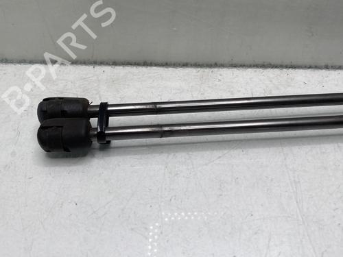 Tailgate lift support DACIA SANDERO 1.5 dCi | BP27632621C138 