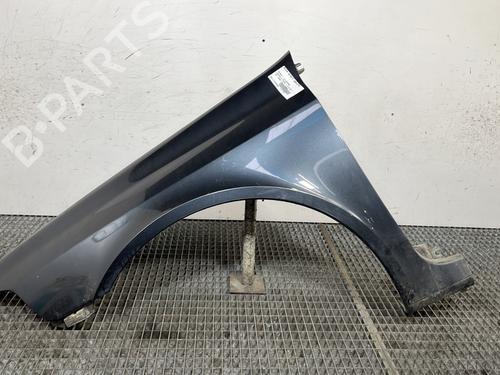 Used Left front fenders RENAULT LAGUNA II (BG0/1_) 2.2 dCi (BG0F) (150 hp) 29456240