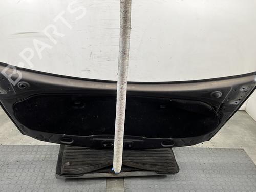 Hood RENAULT CLIO III (BR0/1, CR0/1) 1.5 dCi (C/BR0G, C/BR1G) | BP30720029C1