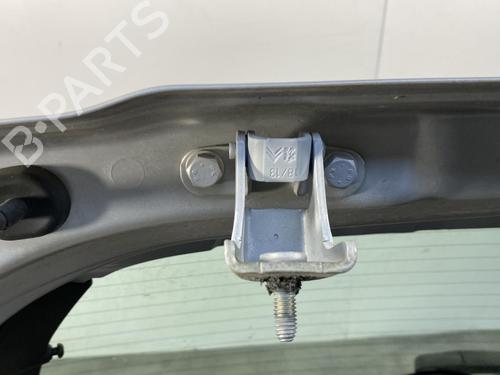 Used Tailgate CITROËN C3 II (SC_) 1.4 HDi 70 (SC8HZC, SC8HR0, SC8HP4) (68 hp) 30702474