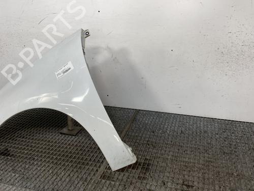 Left front fenders RENAULT SCÉNIC III (JZ0/1_) 1.5 dCi | BP25758924C41 
