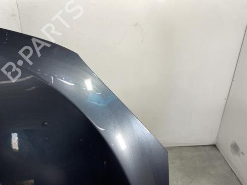 Hood RENAULT MEGANE III Hatchback (BZ0/1_, B3_) 1.5 dCi (BZ0C) | BP19950286C1 