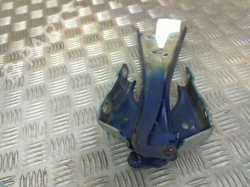 Used Hinge/Door check strap FIAT GRANDE PUNTO (199_) [2005-2025]  20034543