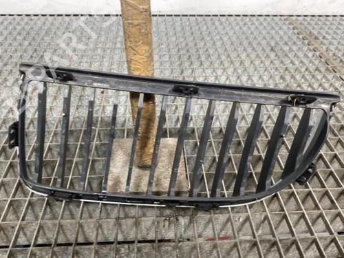 Grille BMW 3 Touring (E91) 320 d | BP20642345C40 