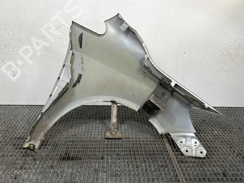Left front fenders VW GOLF PLUS V (5M1, 521) 2.0 TDI | BP29456198C41
