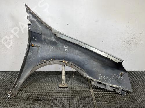 Left front fenders RENAULT VEL SATIS (BJ0_) 2.2 dCi (BJ0E, BJ0F, BJ0G, BJ0H) | BP28385423C41 