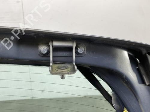 Tailgate RENAULT MEGANE II (BM0/1_, CM0/1_)  | BP21960660C6 