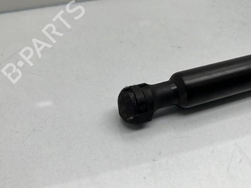 Hood lift support DACIA DOKKER MPV (KE_) 1.3 TCe 130 (KENE) | BP19950637C139 