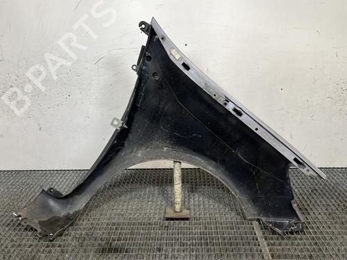Left front fenders RENAULT CLIO III (BR0/1, CR0/1) 1.5 dCi (C/BR0G, C/BR1G) | BP30148397C41