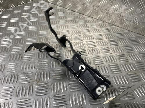 Used Hinge/Door check strap CITROËN C3 Picasso (SH_) [2008-2025]  19977952