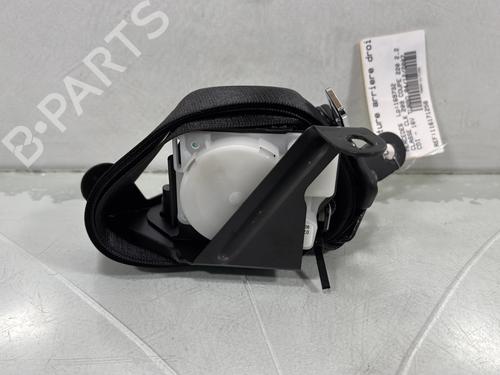 Used Rear right belt tensioner MERCEDES-BENZ CLK (C209) CLK 220 CDI (209.308) (150 hp) 31288642