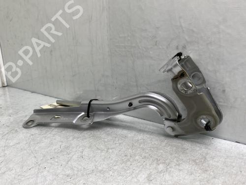 Hinge/Door check strap OPEL ASTRA K (B16)  | BP19955419C146 