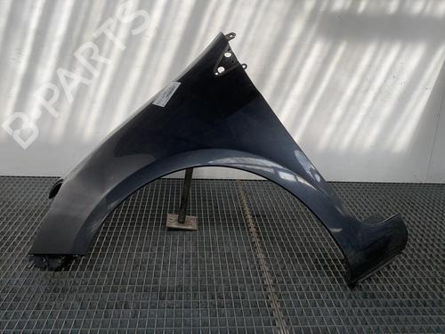 Left front fenders RENAULT CLIO III (BR0/1, CR0/1)  | BP28577991C41