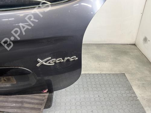 Tailgate CITROËN XSARA PICASSO (N68) 2.0 HDi | BP29329284C6 