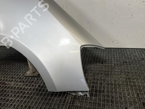 Right front fenders RENAULT CLIO III (BR0/1, CR0/1) 1.5 dCi (BR17, CR17) | BP29707650C42 