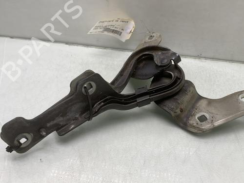 Used Hinge/Door check strap Hinge/Door check strap RENAULT CLIO III (BR0/1, CR0/1) 1.5 dCi (C/BR0G, C/BR1G) (68 hp) 24428453 24428453