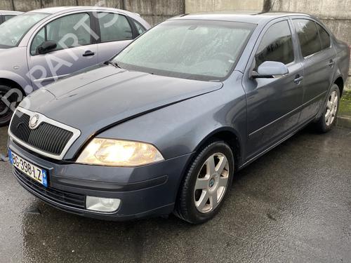 Left front fog light SKODA OCTAVIA II (1Z3) 2.0 TDI | BP25446262C30