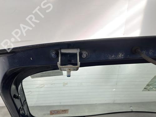 Tailgate DACIA SANDERO 1.4 (BS0C, BS0A, BS0G, BS1F, BS0E) | BP29039371C6 